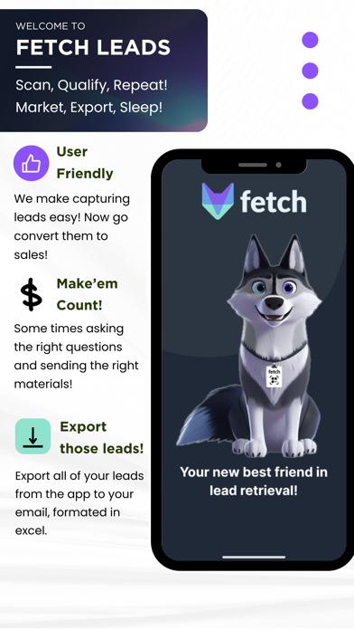 Fetch Leads screenshot 1
