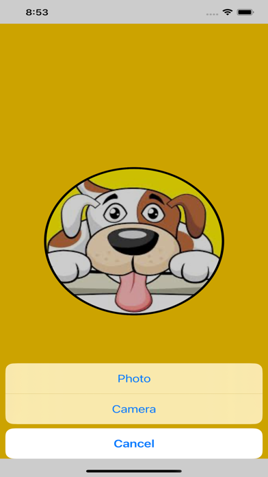 Fiddo screenshot 2