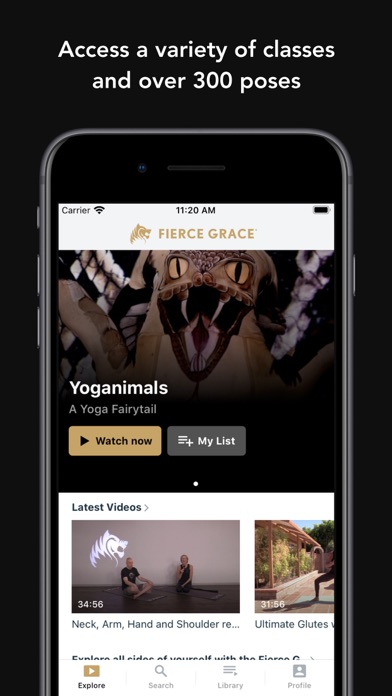 Fierce Grace TV screenshot 3