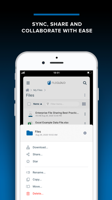 FileCloud screenshot 7
