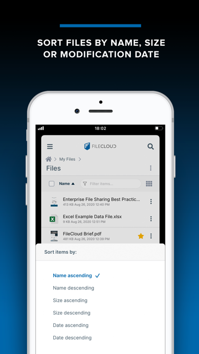 FileCloud screenshot 3