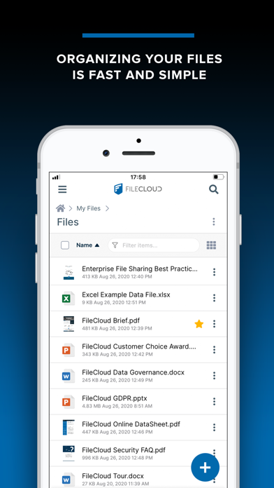 FileCloud screenshot 6