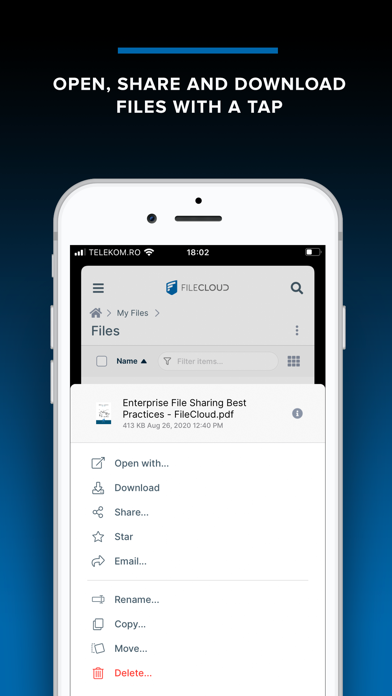 FileCloud screenshot 4