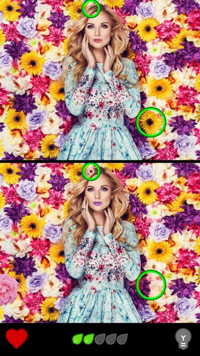 Find the Difference 1000+ screenshot 2
