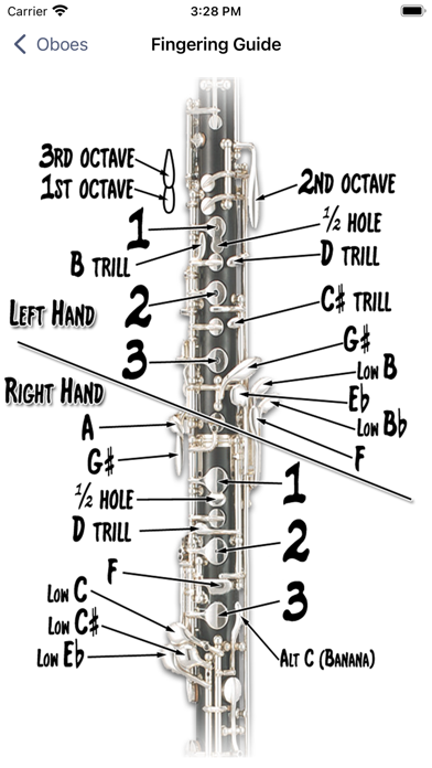 Fingering Woodwinds for iPhone screenshot 7