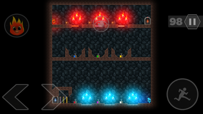 Fireboy and Watergirl: Online screenshot 2
