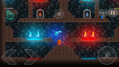 Fireboy and Watergirl: Online screenshot 1