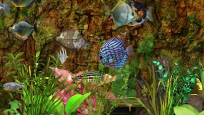 Fish Farm screenshot 4
