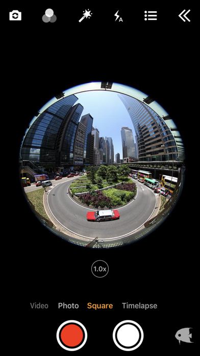 FishEyeVideo Square screenshot 1