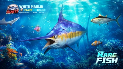 Fishing Master screenshot 2