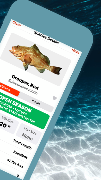 FishVerify: ID & Regulations screenshot 7