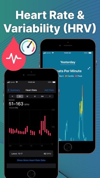 Fitbit Sync to Apple Health screenshot 5