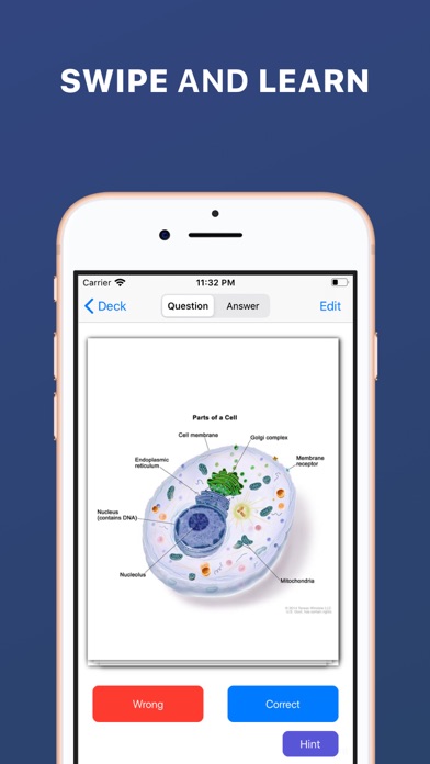 Flashcard Max screenshot 4