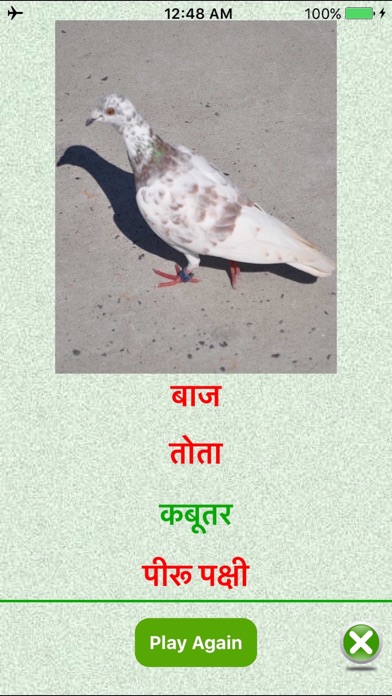 Flashcards Hindi Lesson screenshot 1