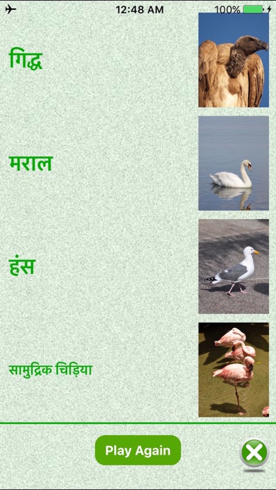 Flashcards Hindi Lesson screenshot 5