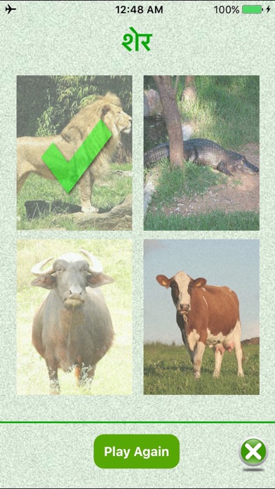 Flashcards Hindi Lesson screenshot 2