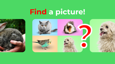 Flashcards. Animal sounds. ABC screenshot 2