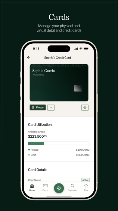 Flex Finance screenshot 3