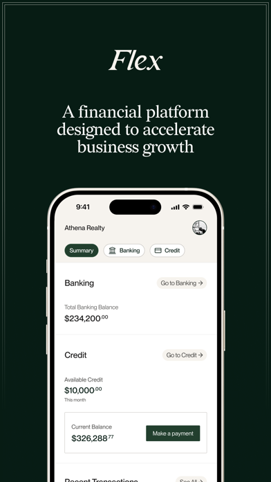 Flex Finance screenshot 6