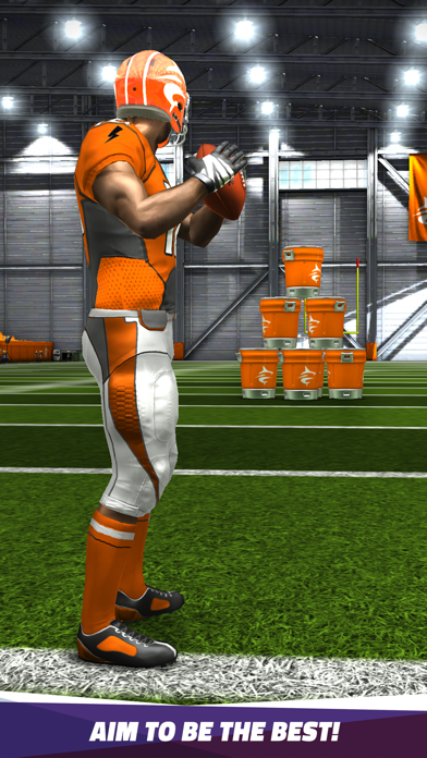 Flick Quarterback 25 screenshot 3