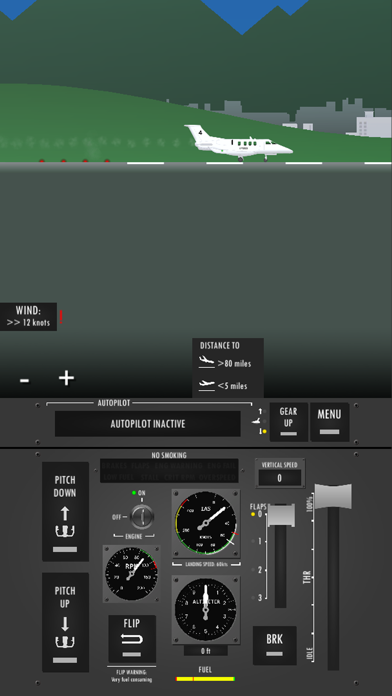 Flight Simulator 2d screenshot 2