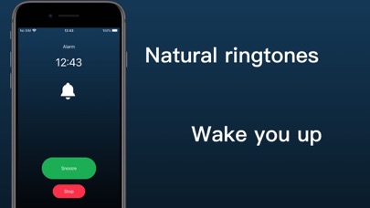 Flip Clock Pro - time widgets screenshot 2
