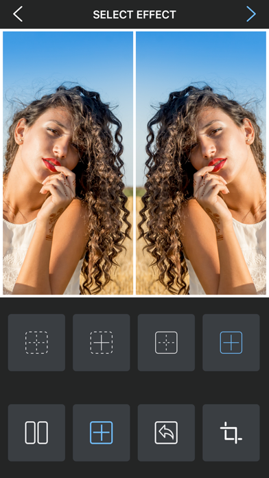 Flipper - Mirror Image Editor screenshot 3