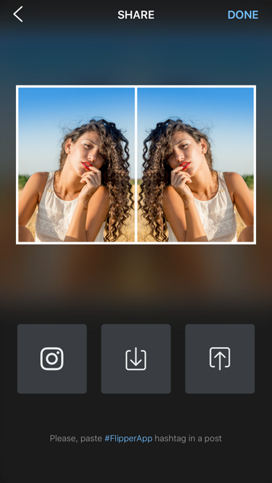 Flipper - Mirror Image Editor screenshot 1