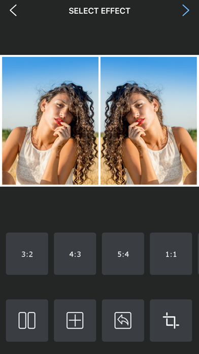 Flipper - Mirror Image Editor screenshot 2
