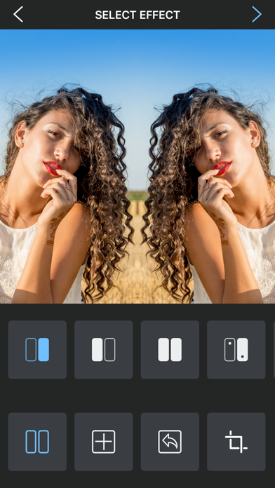 Flipper - Mirror Image Editor screenshot 4