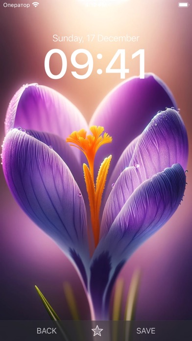 Flower Wallpaper Wallpapers screenshot 3