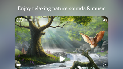 Flowing ~ Meditation in Nature screenshot 5