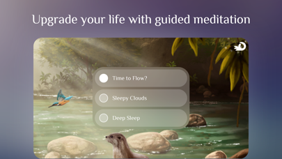 Flowing ~ Meditation in Nature screenshot 2