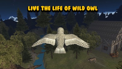 Flying Owl Bird Survival Simulator 3D screenshot 4