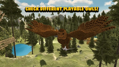 Flying Owl Bird Survival Simulator 3D screenshot 1