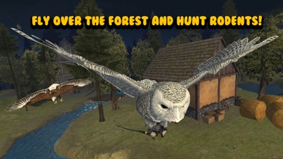 Flying Owl Bird Survival Simulator 3D screenshot 3