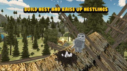Flying Owl Bird Survival Simulator 3D screenshot 2