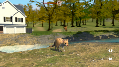 Flying Squirrel Simulator Game screenshot 2