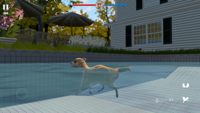 Flying Squirrel Simulator Game screenshot 3