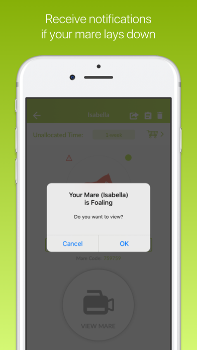 FoalApp screenshot 2