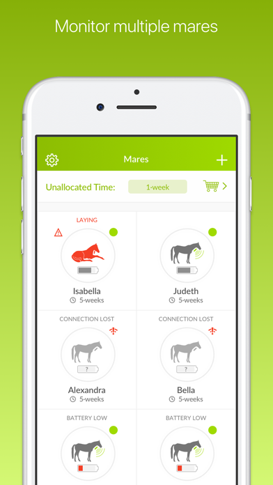 FoalApp screenshot 4