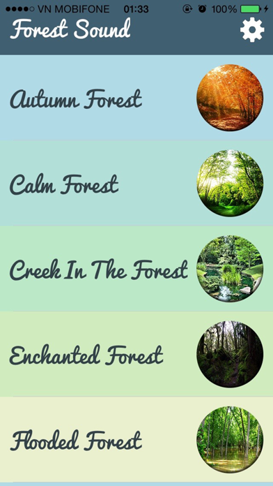 Forest Sounds - Forest Music,Sound Therapy screenshot 3