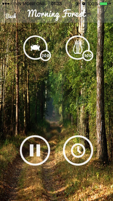 Forest Sounds - Forest Music,Sound Therapy screenshot 1