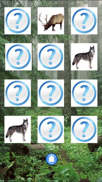Forest Sounds Free screenshot 3