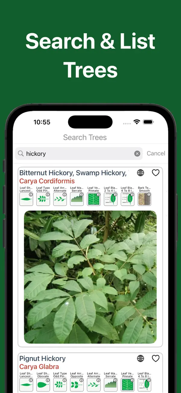 Forest Tree Identification screenshot 3