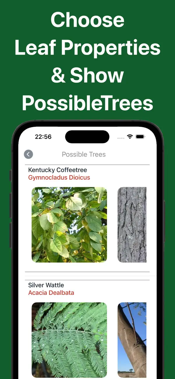 Forest Tree Identification screenshot 5