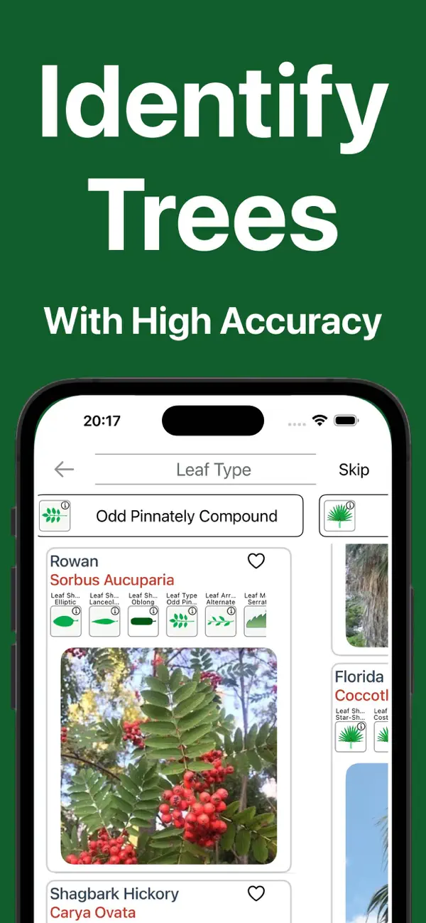 Forest Tree Identification screenshot 6