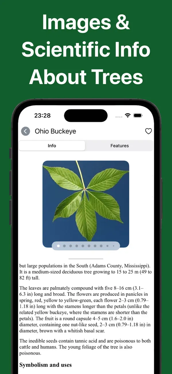 Forest Tree Identification screenshot 2