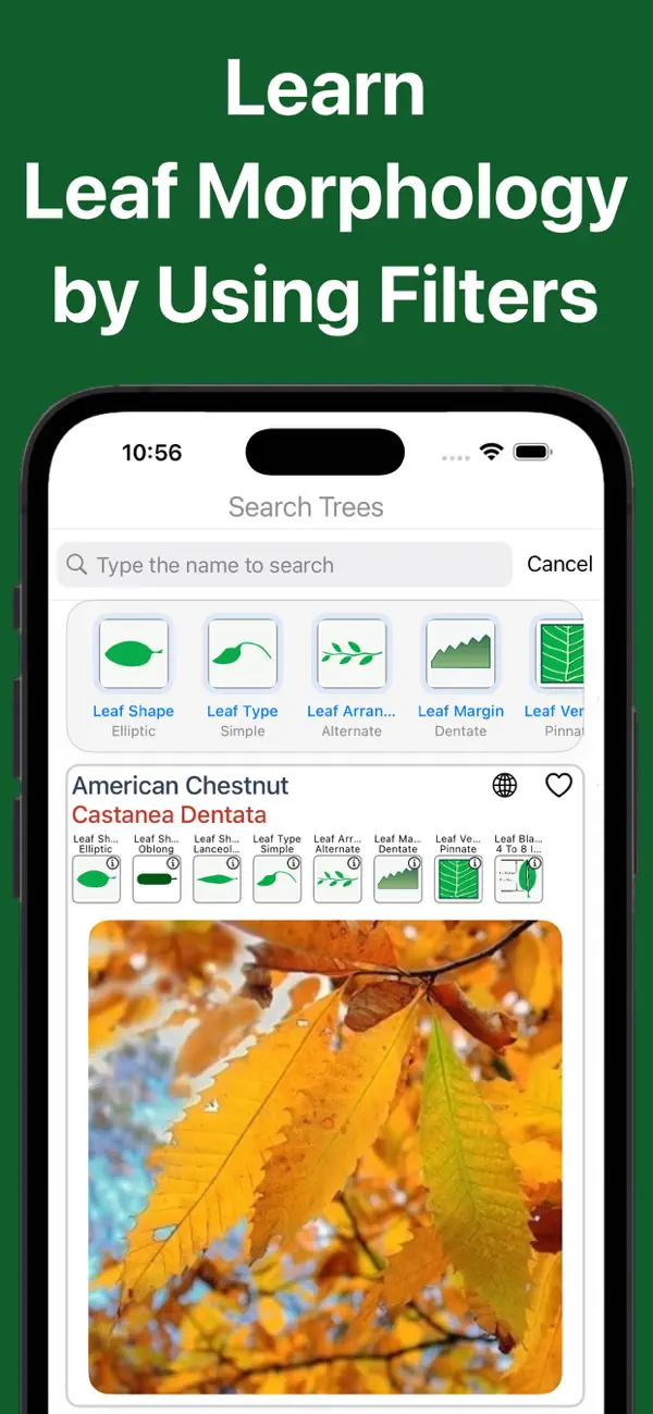 Forest Tree Identification screenshot 4