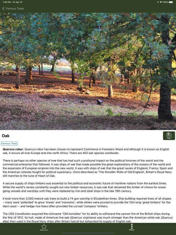 Foresters Wood screenshot 6